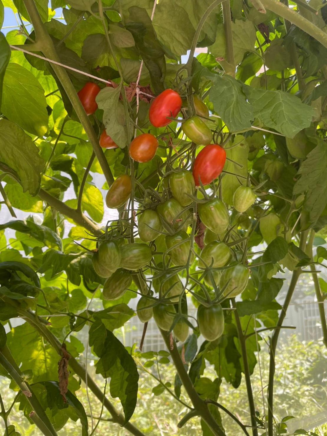 Nantou Fruit House Apartment Renai Exterior photo